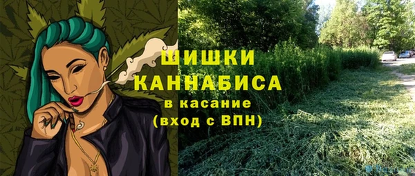 эйфоретик Верея